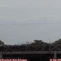 11_10-mast.jpg