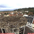 11_30-nest.jpg