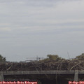 11_40-mast.jpg