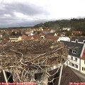 11_40-nest.jpg