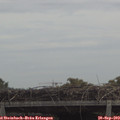 11_45-mast.jpg