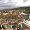 11_55-nest.jpg
