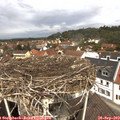 12_05-nest.jpg