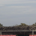 12_10-mast.jpg