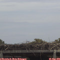 12_15-mast.jpg