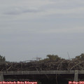 12_20-mast.jpg