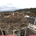 12_20-nest.jpg