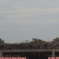 12_25-mast.jpg