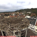 12_25-nest.jpg