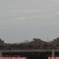 12_30-mast.jpg