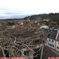 12_30-nest.jpg