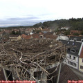 12_35-nest.jpg