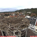 12_40-nest.jpg