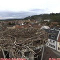 12_45-nest.jpg