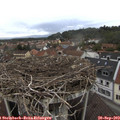 12_55-nest.jpg