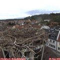 13_00-nest.jpg