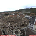 13_05-nest.jpg
