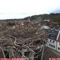 13_10-nest.jpg