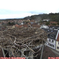 13_15-nest.jpg