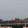 13_20-mast.jpg