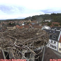 13_20-nest.jpg