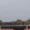 13_25-mast.jpg