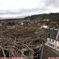 13_35-nest.jpg