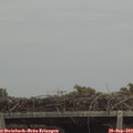 13_40-mast.jpg