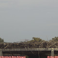 13_45-mast.jpg