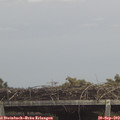 14_05-mast.jpg