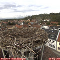 14_05-nest.jpg