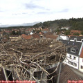 14_10-nest.jpg