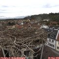 14_15-nest.jpg
