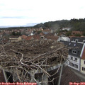 14_20-nest.jpg
