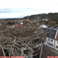 14_30-nest.jpg