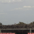 14_35-mast.jpg