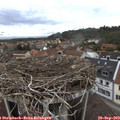 14_35-nest.jpg