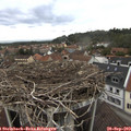 14_40-nest.jpg