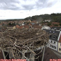 14_45-nest.jpg