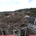 14_50-nest.jpg