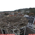 14_55-nest.jpg