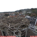 15_05-nest.jpg