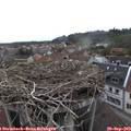 15_10-nest.jpg