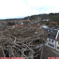 15_15-nest.jpg