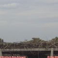 15_20-mast.jpg