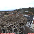 15_20-nest.jpg