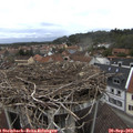 15_25-nest.jpg