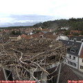 15_30-nest.jpg