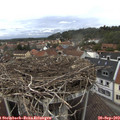 15_35-nest.jpg