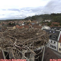 15_40-nest.jpg
